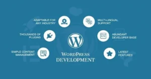 WordPress website development guide showing professional website design, SEO optimization, responsive development, and website management