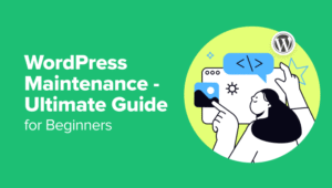 WordPress website maintenance services for security, backups, updates, and website performance optimization