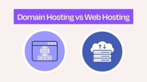website hosting vs domain name Copy Focus Keyword